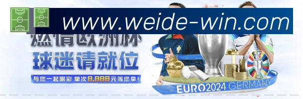 登录器